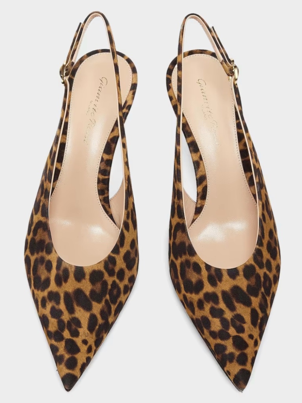 Gianvito Rossi Robbie Sling 55 Camoscio Leopard Print Almond Leopard Print